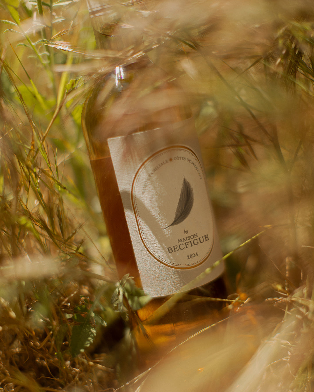 Plume Rosé Becfigue - Côtes de Provence Bio