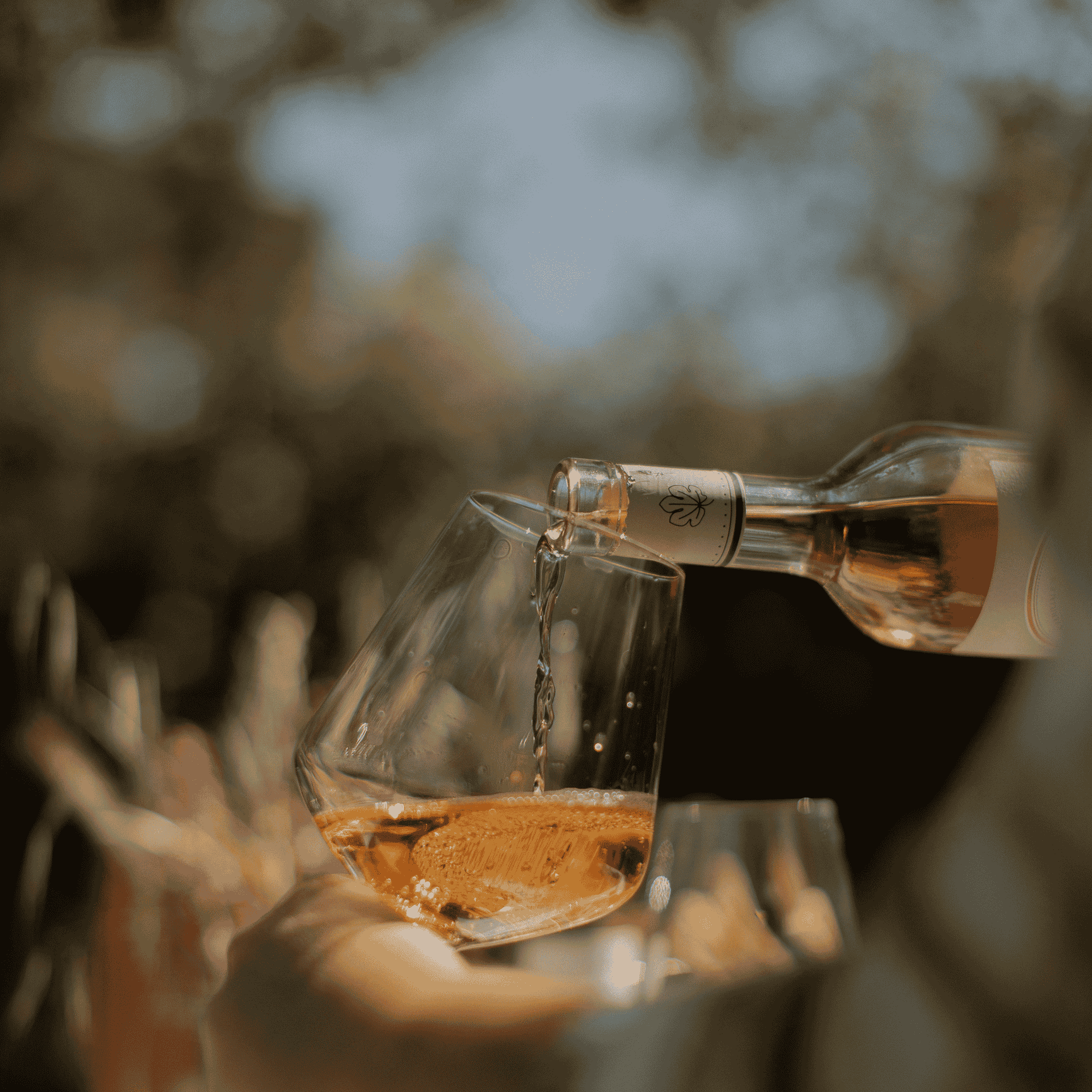 Service vin rosé dans verre