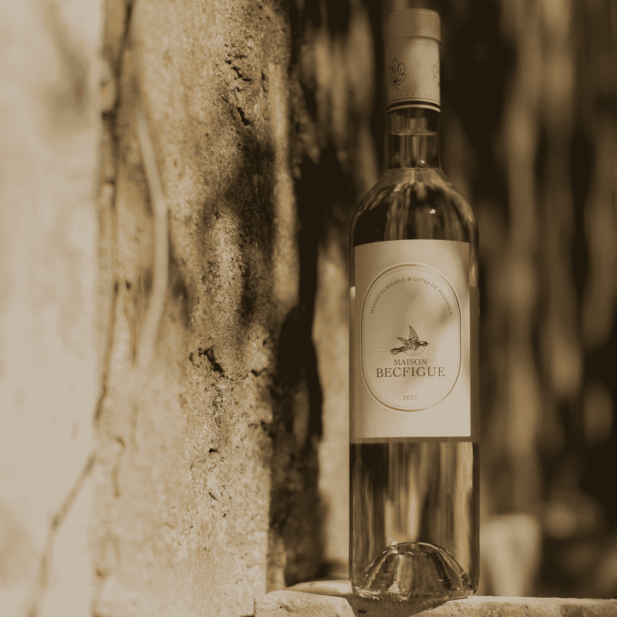 Blanc Becfigue - Côtes de Provence Bio - 100% Rolle